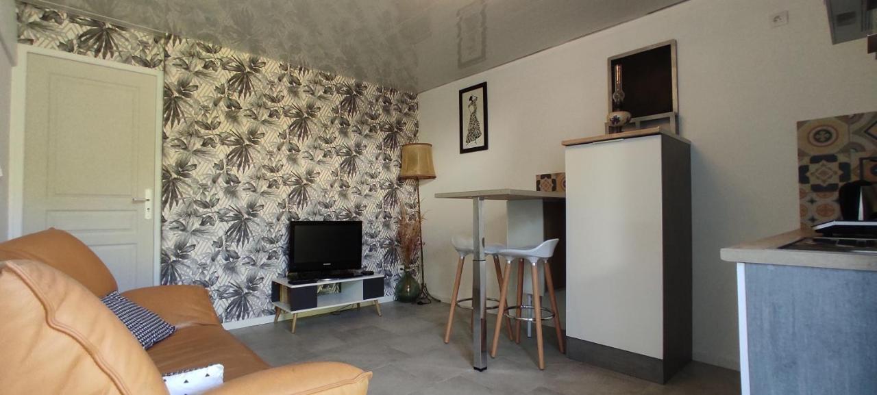 Bel Appartement Cosy Independant, Jolie Terrasse 蒙彼利埃 外观 照片